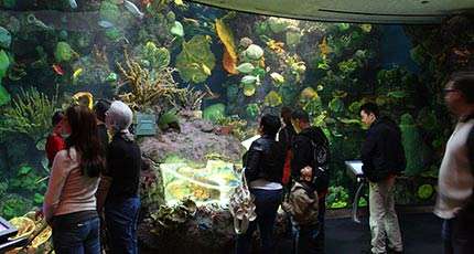 John G Shedd Aquarium Chicago